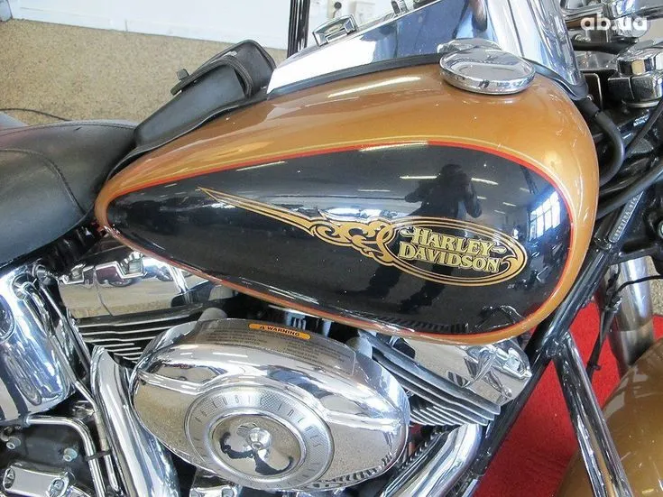 Harley-Davidson FLSTC Image 2